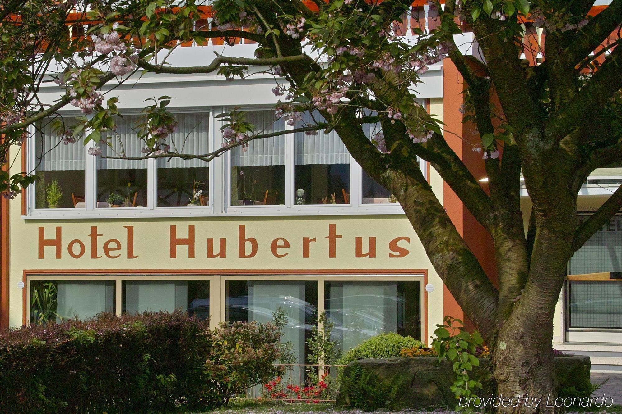 Akzent Hubertus Hotell Bad Peterstal-Griesbach Exteriör bild